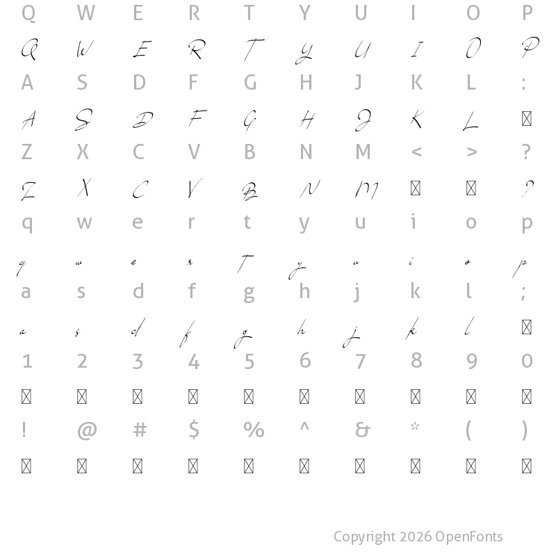 Character Map of Brouklyn Signature Demo Use