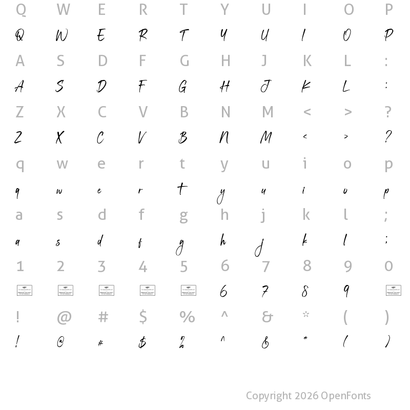 Character Map of Delightful Regular