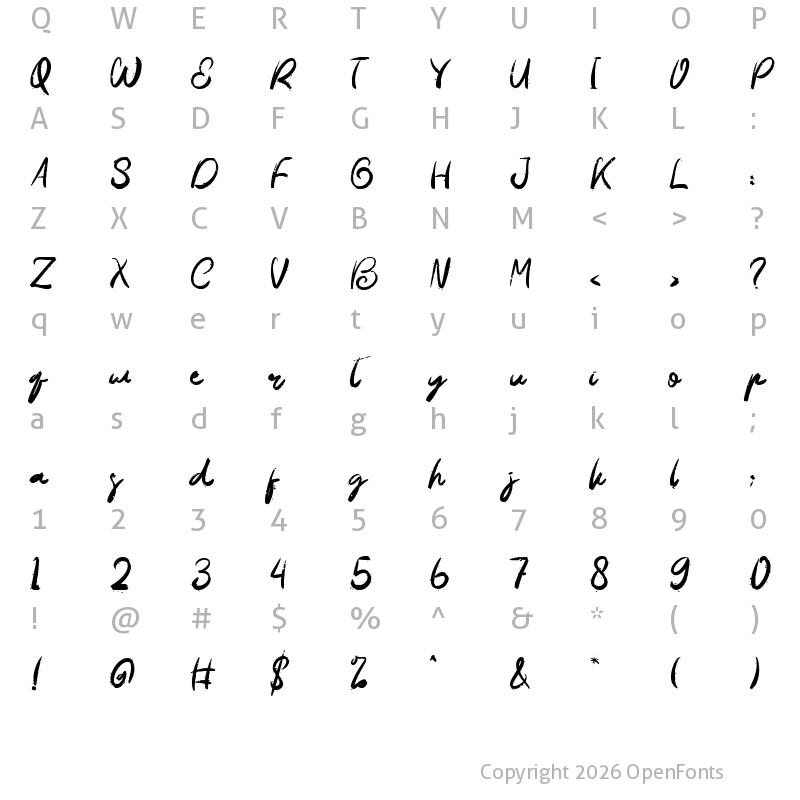 Character Map of Dheelty Regular