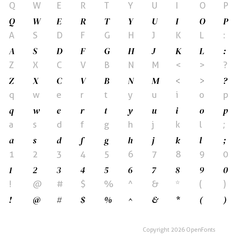 Character Map of DM Serif Display Italic