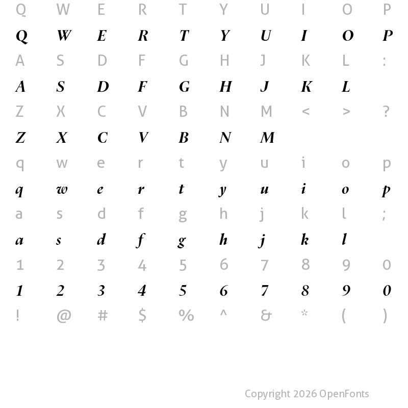 Character Map of Dupincel Large Test Bold Italic