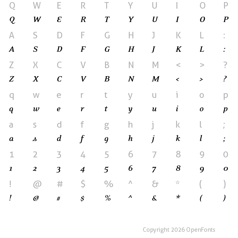 Character Map of Eidetic Neo OT Bold Italic