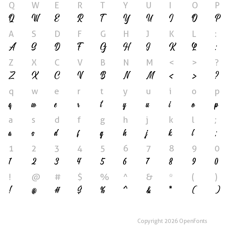 Character Map of Heinyta Regular