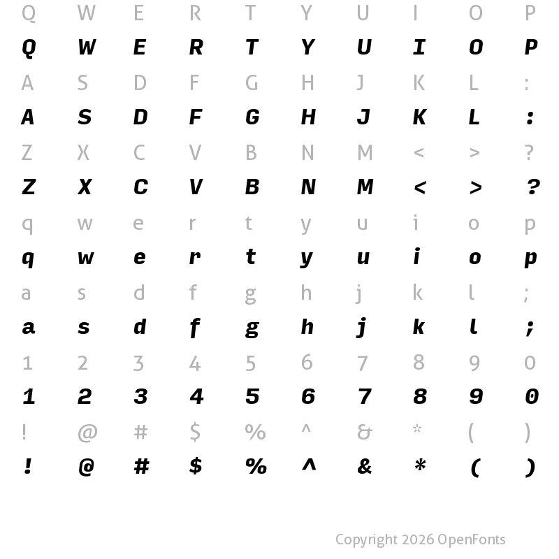 Character Map of Input Sans Narrow Black Italic