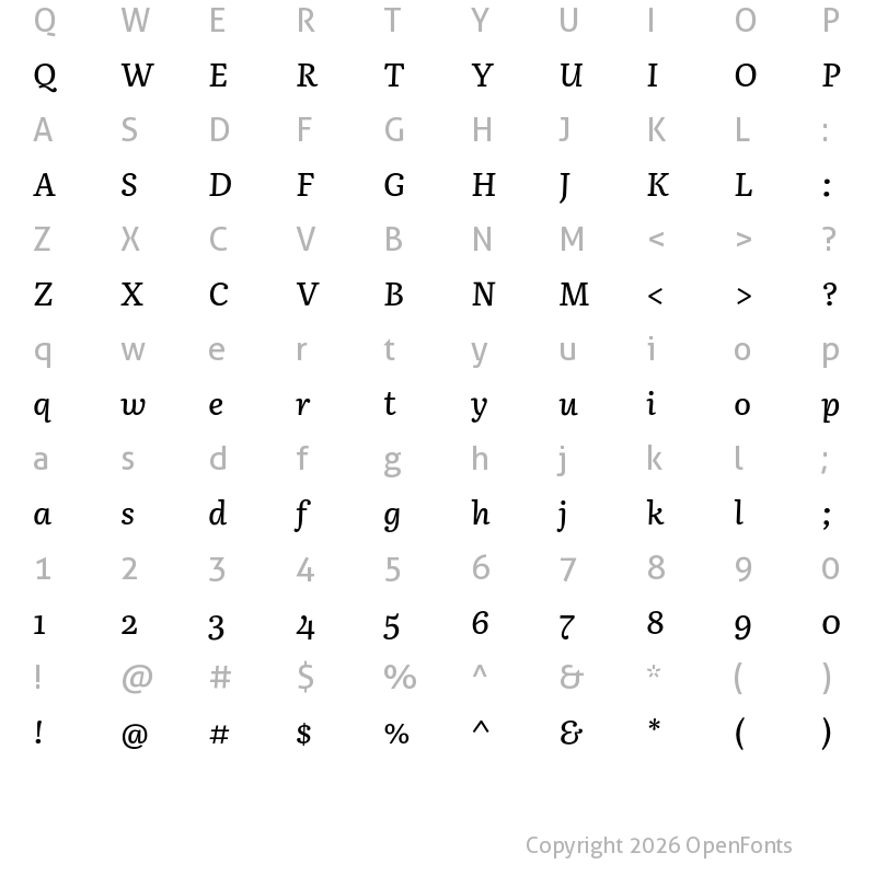 Character Map of Literata Book Medium Italic