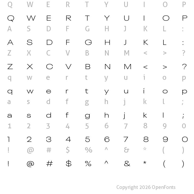 Character Map of Neue Plak W04 Light Wide