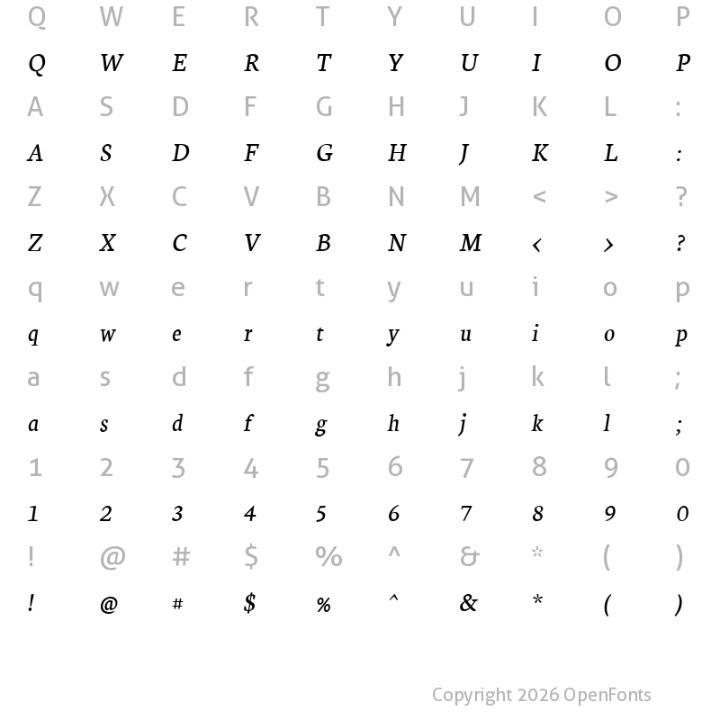 Character Map of Neuton Italic