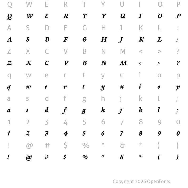 Character Map of Newt Serif Bold Italic