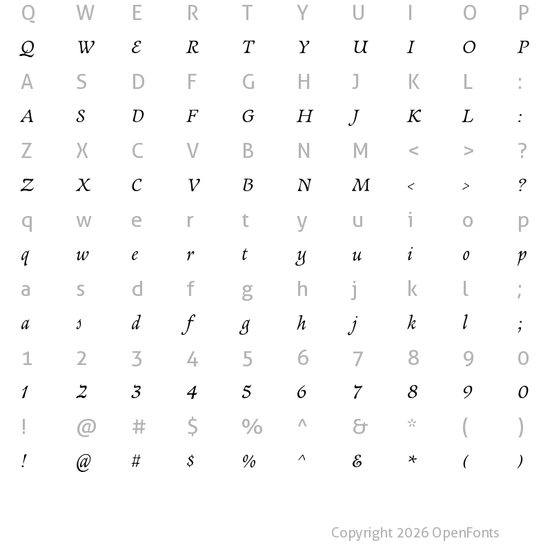 Character Map of Newt Serif Italic