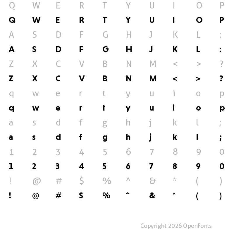 Character Map of Niveau Grotesk Bold Regular