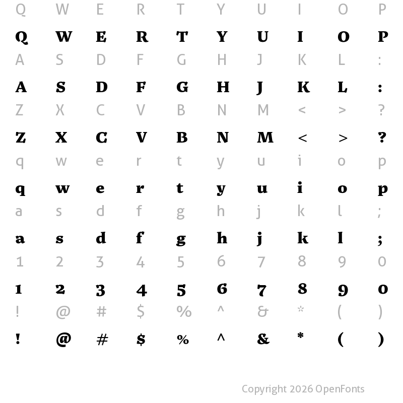 Character Map of Noort Display Black