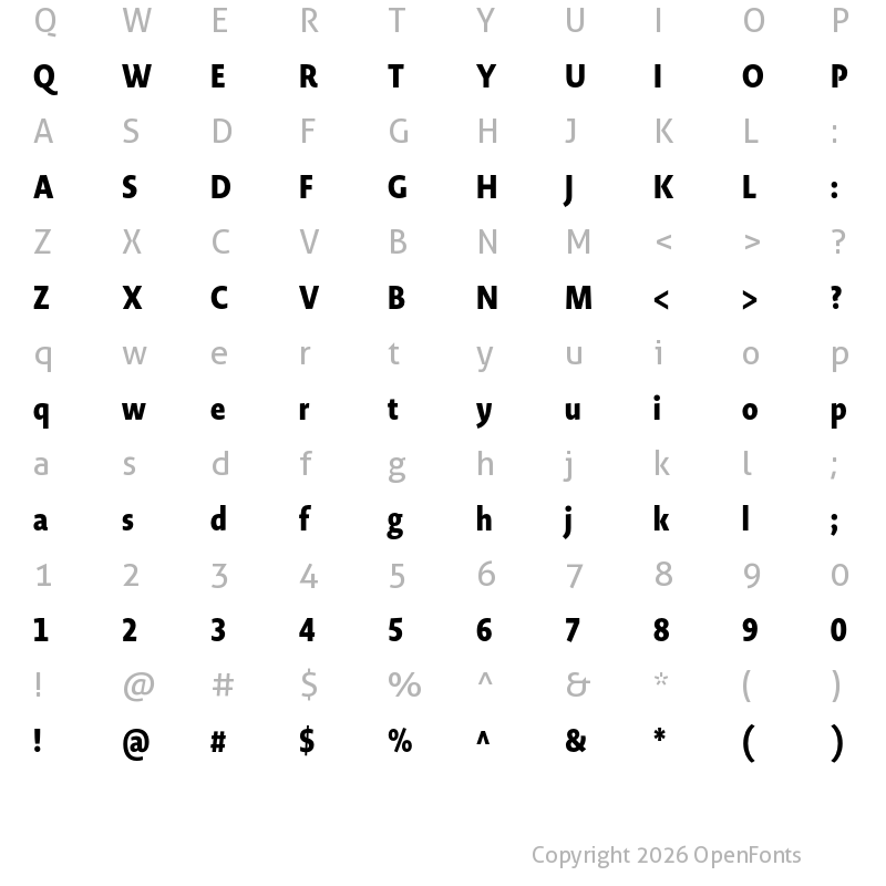 Character Map of Novel Display Cmp Black