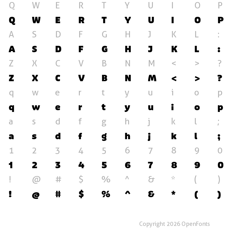 Character Map of Puffin Display Black