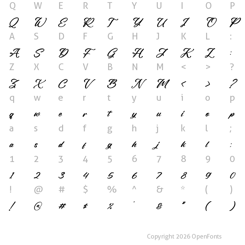 Character Map of Rough Anthem Italic