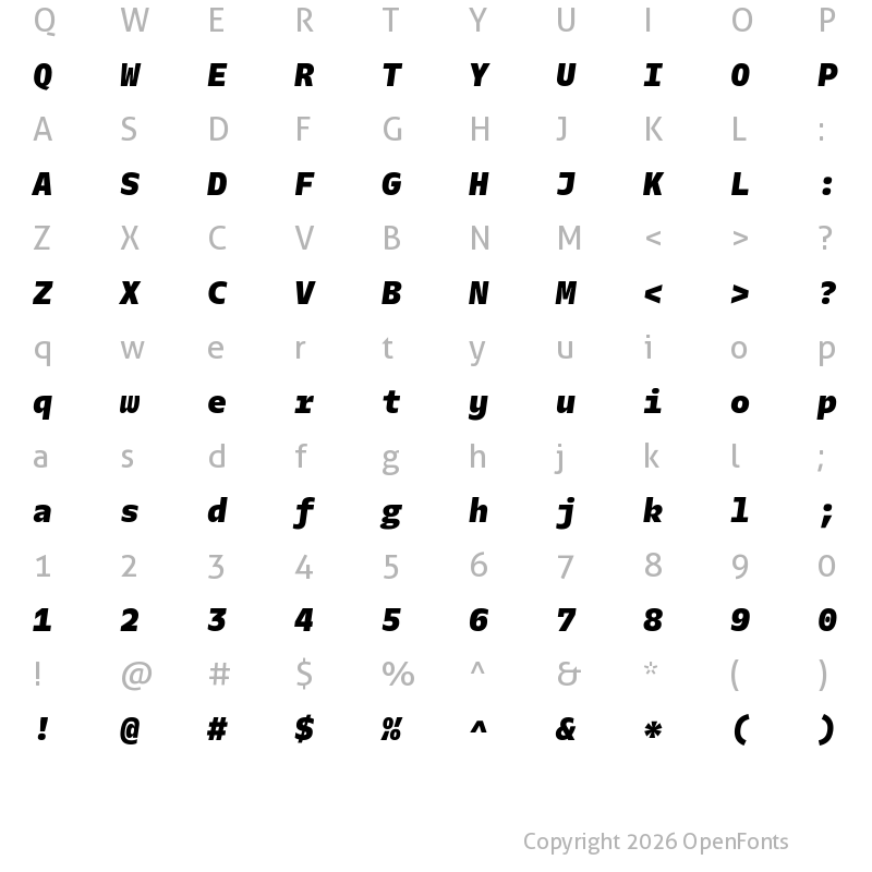 Character Map of Twilio Sans Mono Heavy Italic